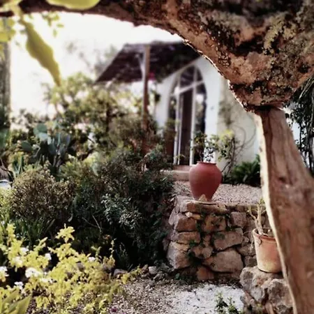 Algarve Farmhouse Holiday home Sao Bras de Alportel