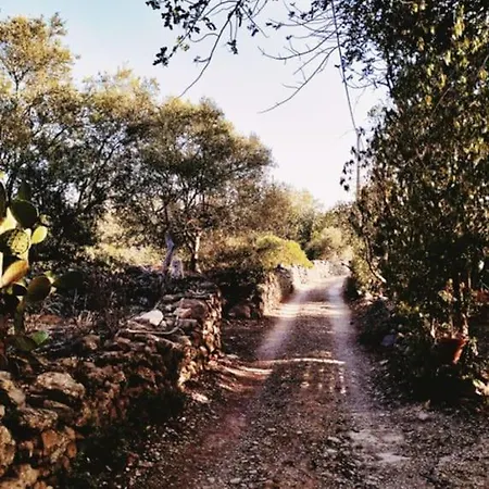 Algarve Farmhouse São Brás de Alportel